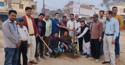 পলাশবাড়ীতে পলাশফুলের চারা রোপণে খবরবাড়ি টুয়েন্টি ফোর ডটকমের ব্যতিক্রমী আয়োজন